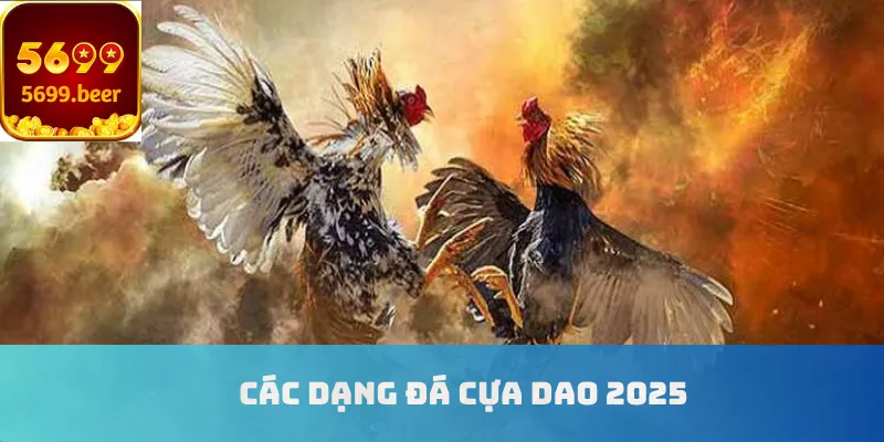 Các dạng đá gà cựa dao 2025