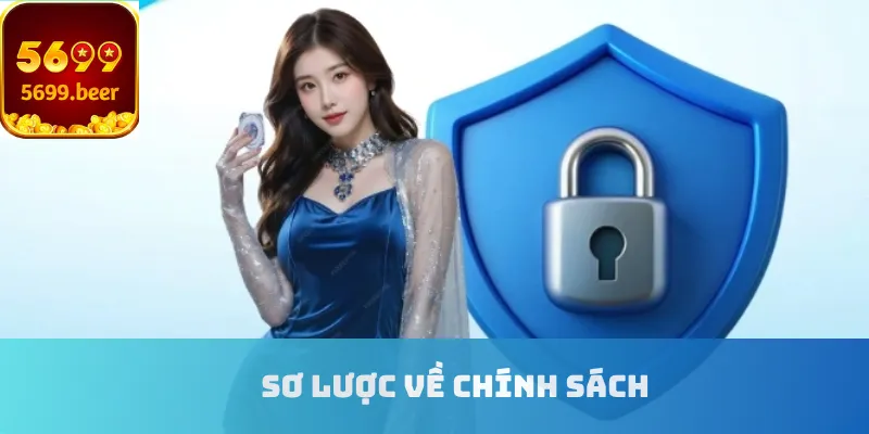 Sơ lược về chính sách